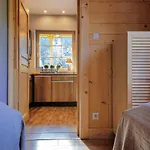 度假居 Nad Potokiem 新塔尔格