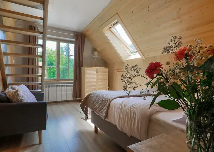 Tatil Evi Nad Potokiem